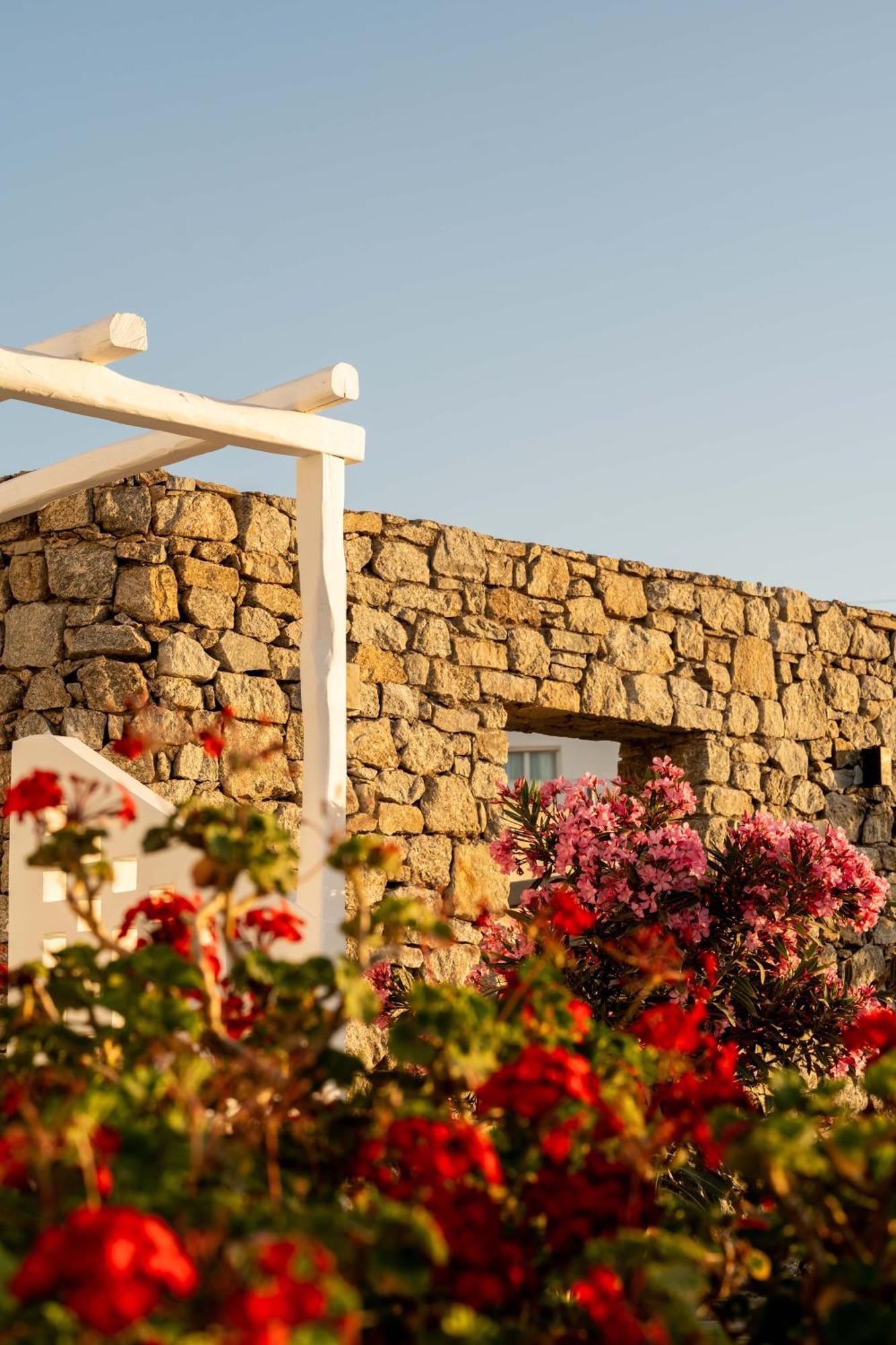 Philosophy Of Mykonos Boutique Hotel Mykonos Town Екстер'єр фото