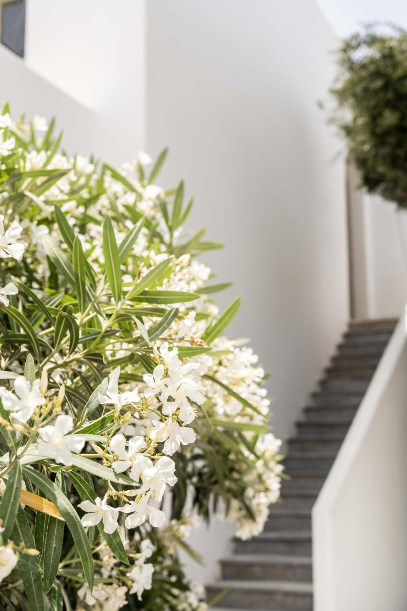 Philosophy Of Mykonos Boutique Hotel Mykonos Town Екстер'єр фото