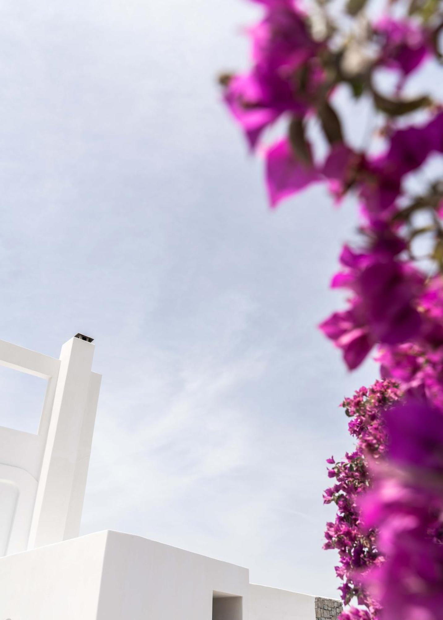 Philosophy Of Mykonos Boutique Hotel Mykonos Town Екстер'єр фото